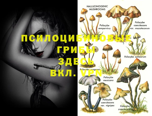 прущие грибы Алексеевка