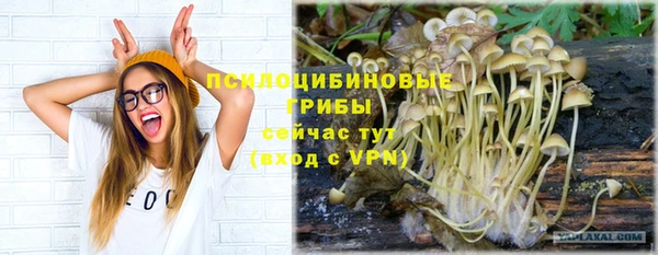 Альфа ПВП Алексин