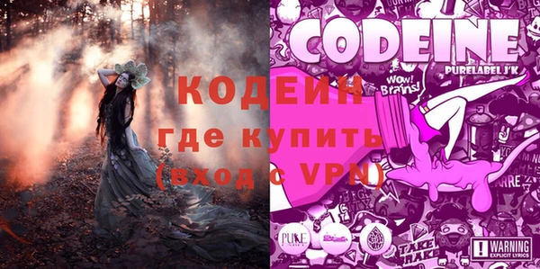 прущие грибы Алексеевка