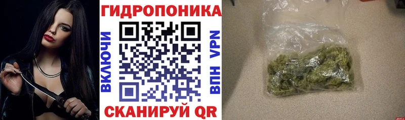 Каннабис планчик  блэк спрут   Минусинск 